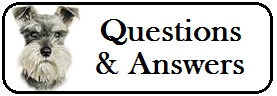 Questions & Answers